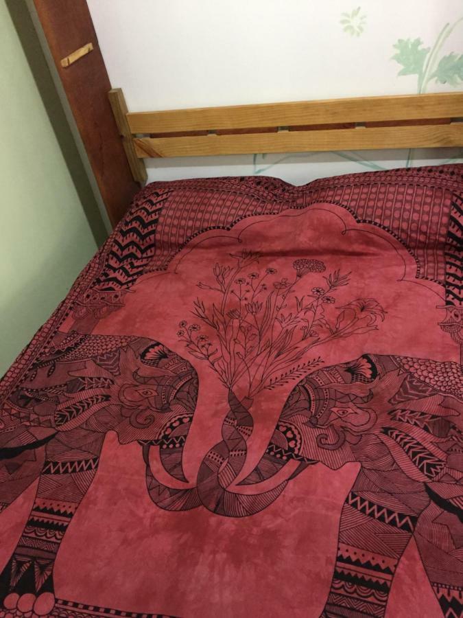 Hostel Mueller Na Praia De Mocambique Florianopolis Ngoại thất bức ảnh